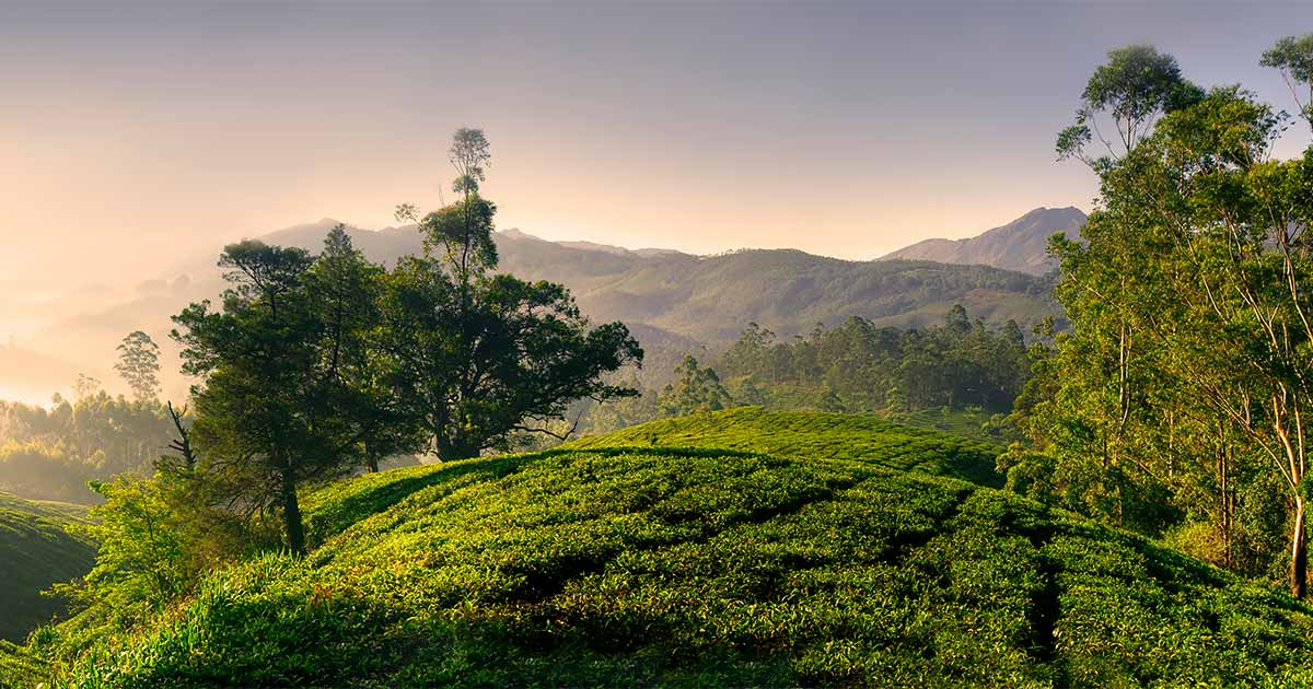 Summer Holiday To The Hill Retreat